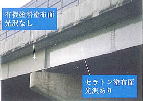 �{�B�l���A�������c �Z�Ԑ싴�h�֍H��